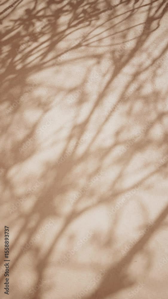 Abstract beige shadows, textured background video Abstract beige shadows, textured background video