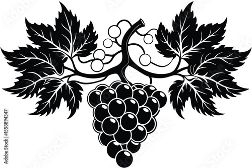 Elegant Grapevine Illustration Black and White Vine with Lush Grapes
