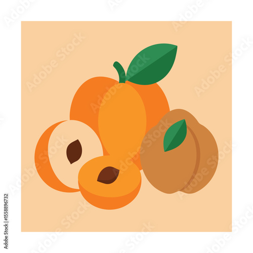 Whole and Pitted Apricot Vector Illustration with Leaf Detail
