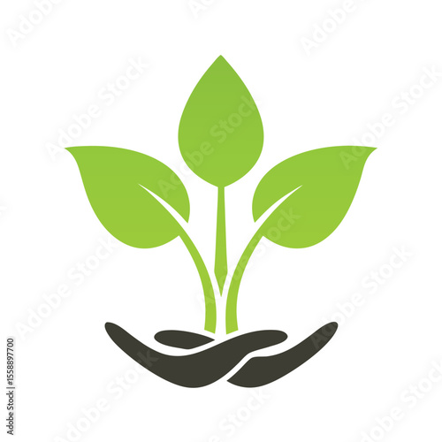 Green sprout growing from cupped hands plant leaf