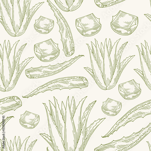 Aloe vera green seamless pattern background. Ecology concept in beauty industry. Natural cosmetics ingredient. Hand drawn sketch plant from package design. Aloe wallpaper for branding natural concepts