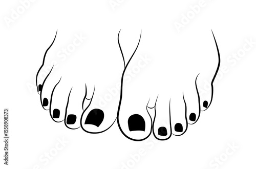 Beautiful woman feet closeup with black nails line art isolated on white background - vector illustration