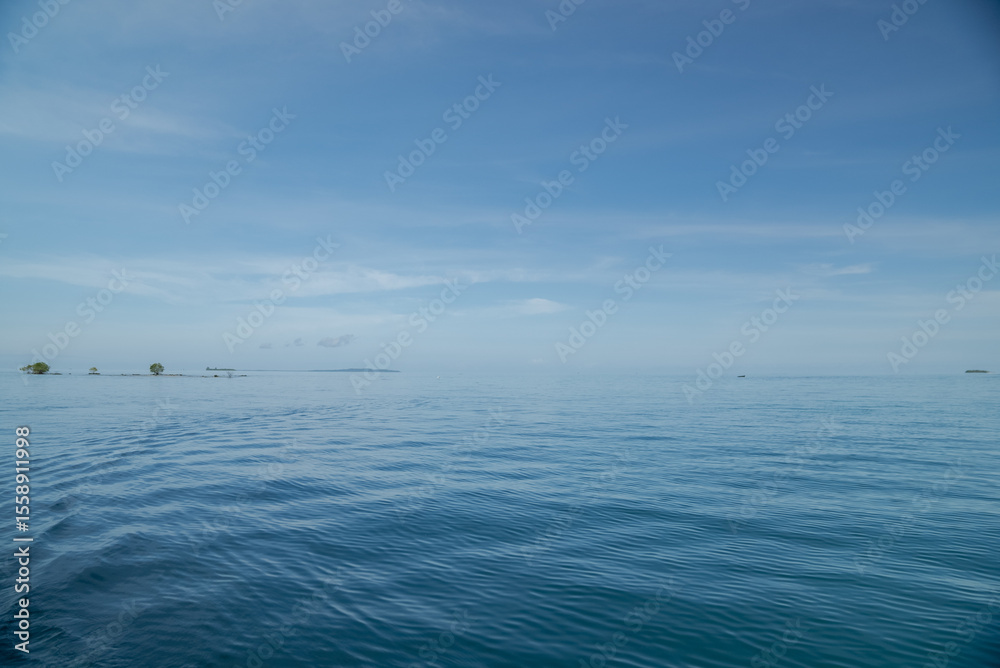Obraz premium Beautiful tropical island in the Pacific Ocean with mangrove forests and coastal almond trees. A tropical island with calm waves and clear skies