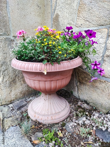 flowers in pots