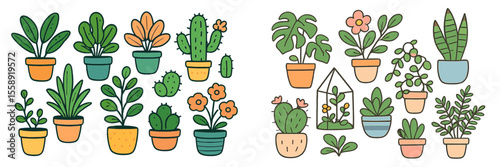Various indoor plants displayed in colorful pots on a white background showcasing diverse species and styles