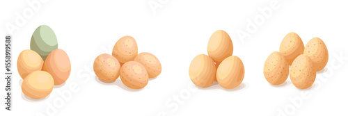 Colorful variety of eggs arranged in groups on a white background showcasing natural textures and hues
