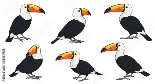 Cartoon pelicans in various poses with colorful beaks and feathers  