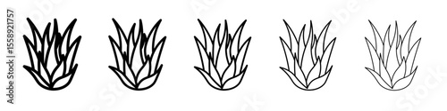 Aloe vera icon vector thin outline style sign