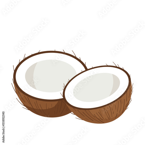 Halved coconuts with white pulp in brown hairy shells, vector design