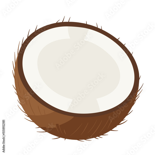 Halved coconut showing white flesh in brown hairy shell, vector design