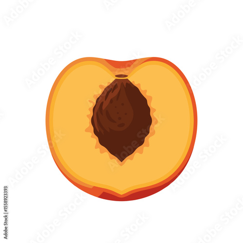 Sliced peach with visible pit in warm orange and brown palette, vector design