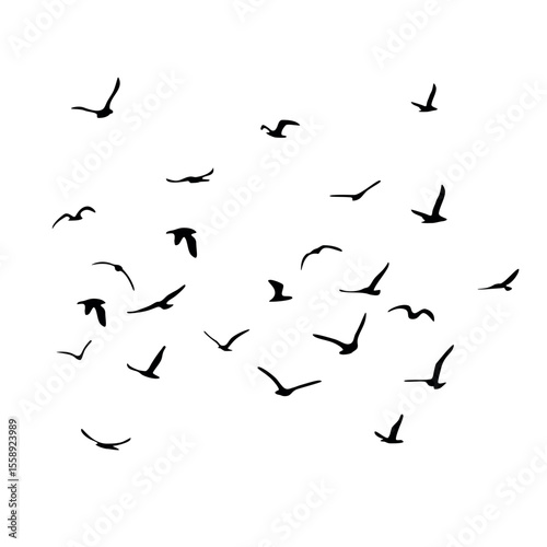 A flock of flying silhouette birds. Black on white background. Vector