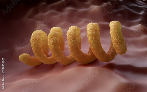 Spiral Bacteria 3D Render - Microscopic View of Spirillum or Spirochete