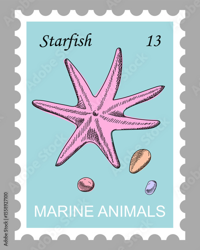 Postage stamp with starfish and pebbles. Pink marine ​​animal with seven arms on sky blue background. Hand drawn vector. Cartoon. Sketch style.
