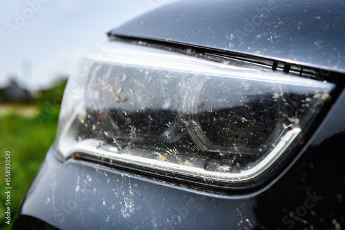 Killed insects on the bumper of the car, broken midges.