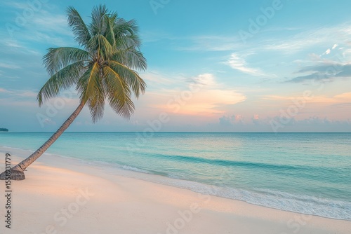Tranquil Beach Scene with Palm Tree at Sunset Glow Over Water