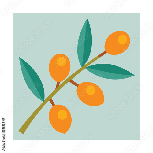 Sea Buckthorn Berries on Twig Illustration