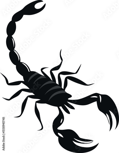 scorpion vector illustration