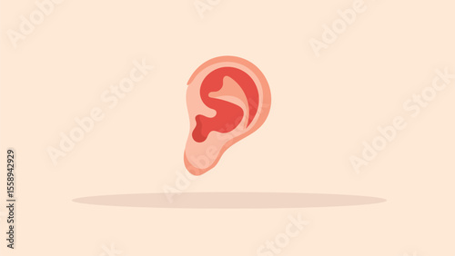 ear
