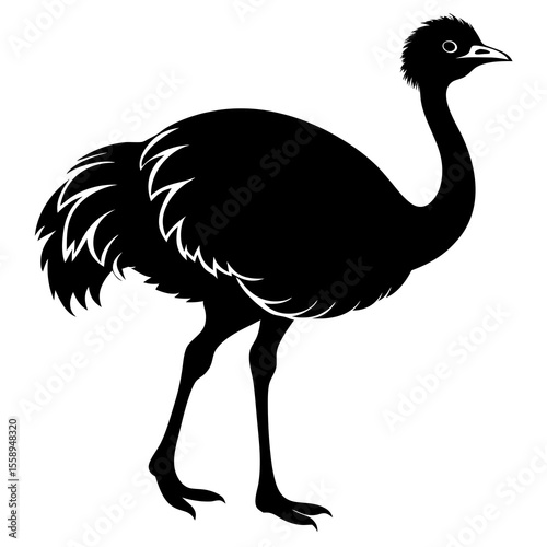 ostrich vector illustration silhouette on white background