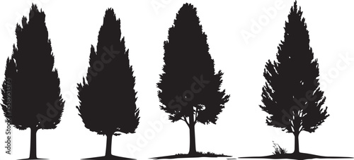 Cypress Tree black silhouette icon isolated on white background. Conifer Cypress Tree Black Silhouette Vector.