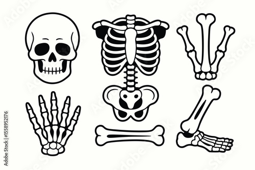 Skeleton Body Parts Skull, Ribcage, Pelvis, Arm, Foot Bones in Black Outline Style