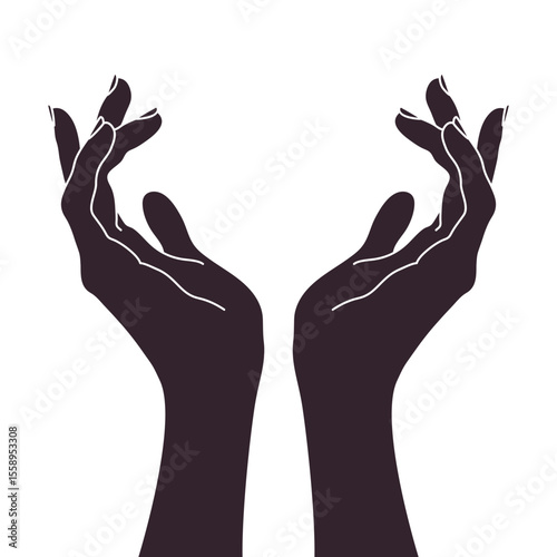 Graceful female cupped hands. Raised hands reaching up isolated on white background. Vector illustration