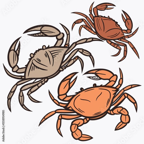 Red cartoon crab vector illustration, an isolated marine animal seafood crustacean with claws