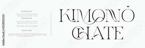 Elegant alphabet letters logo font and number. Luxury Classic Modern Serif Lettering Minimal Fashion. Typography decoration fonts for branding, wedding, logos. vector illustration