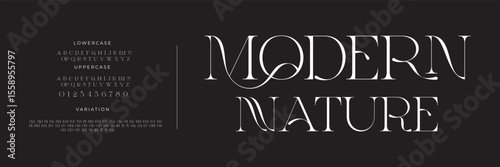 Elegant alphabet letters font and number. Classic Lettering Minimal Fashion Designs. Typography modern serif fonts regular decorative vintage concept. vector illustration