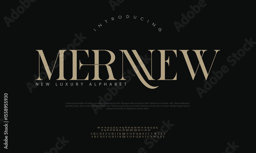 Elegant serif alphabet letters serif font and number. Classic Lettering Minimal Fashion. Typography fonts regular uppercase, lowercase and numbers. vector illustration 