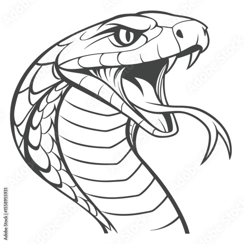 vector illustration of a cartoon snake
