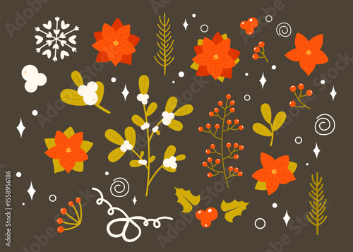 Set of Christmas and winter holidays plants, berries, flowers and leaves - holly berry, mistletoe, Christmas tree, Poinsettia. Hand drawn vector illustration isolated on dark background