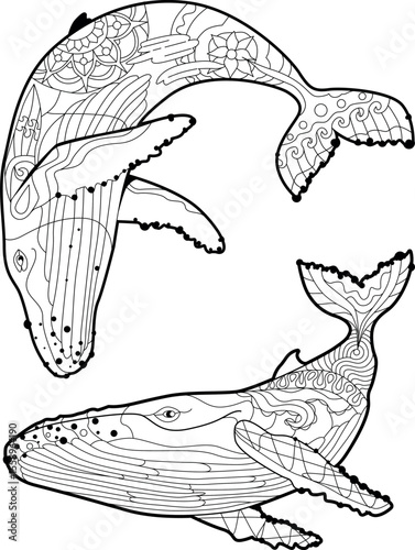 Set of swimming whale for anti stress Coloring Page.