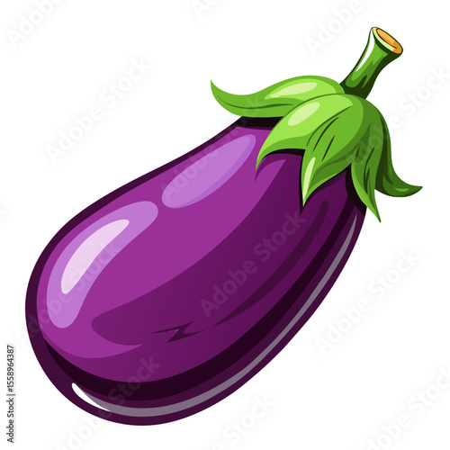 eggplant vector illustration