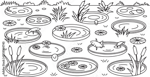 Several ponds with fish and lily pads water cattails