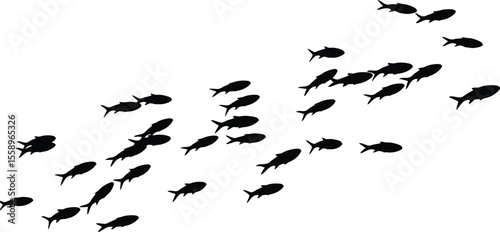 Silhouette of a School of Fish Swimming in Formation