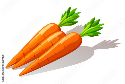 carrots on white background