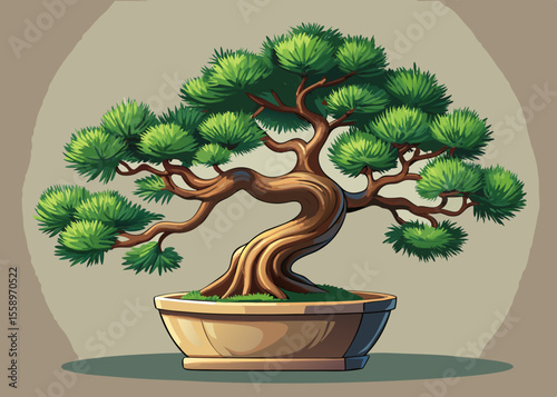 Ornamental Bonsai Tree in a Pot