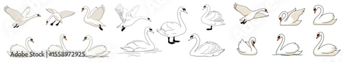 Swans in various poses and angles showcasing different postures  