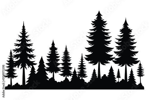Silhouetted evergreen forest trees winter landscape