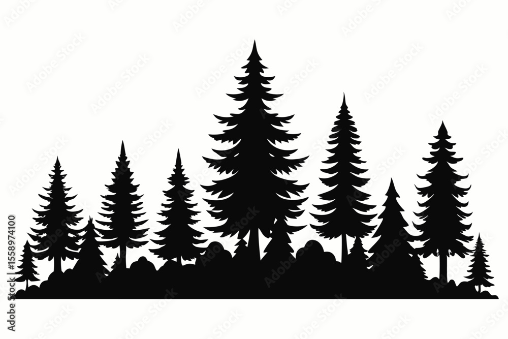 Obraz premium Majestic silhouette of evergreen trees in a forest