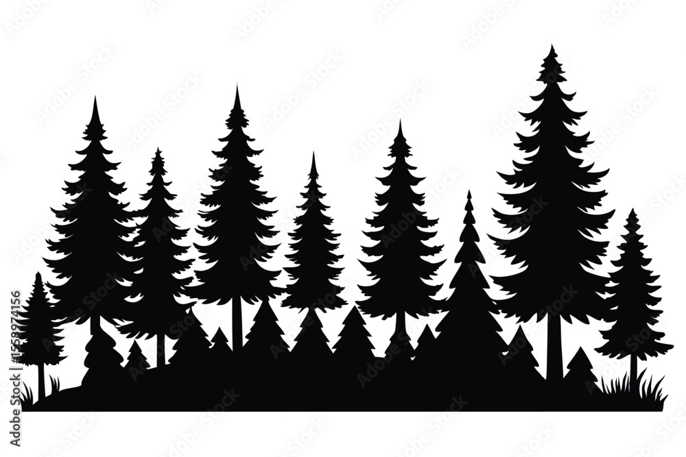 Obraz premium Silhouetted evergreen forest trees winter landscape