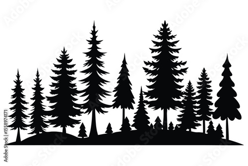 Silhouetted evergreen trees forest winter landscape