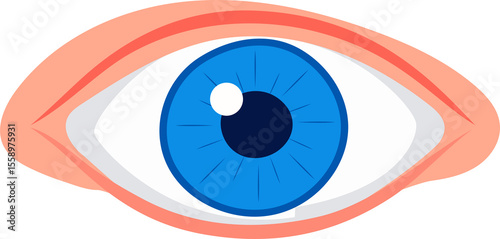 eye 