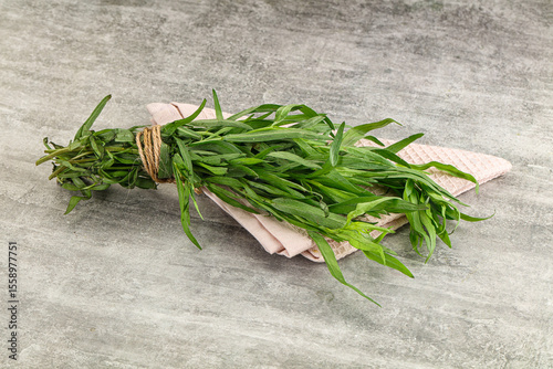 Fototapeta Naklejka Na Ścianę i Meble -  Green estragon branches for cooking