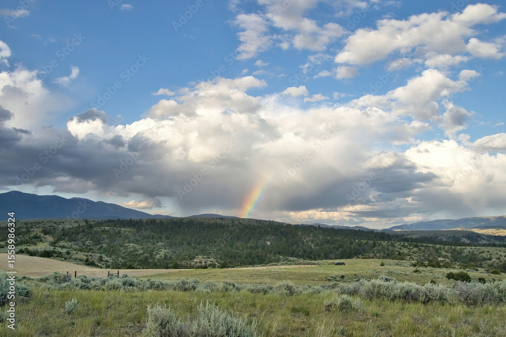 Obraz premium Landscape of a rainbow above distant mountains an overcast Summer evening near Townsend, Montana.