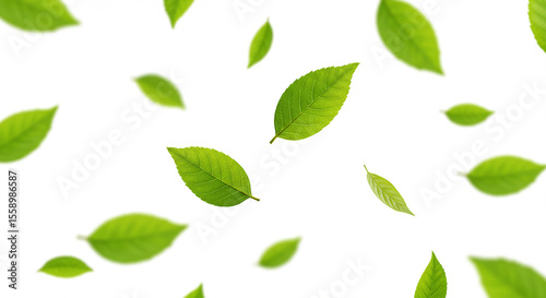 Flying green leaves on white background. Fresh spring foliage. AI generative