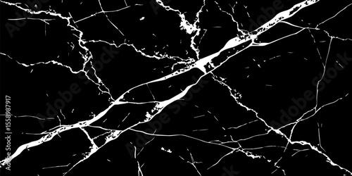 A stark, high-contrast image featuring intricate white veins sprawling across a deep, inky black background, mimicking the natural patterns found in marble or fractured glass.