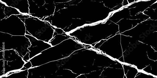 A stark, high-contrast image featuring intricate white veins sprawling across a deep, inky black background, mimicking the natural patterns found in marble or fractured glass.